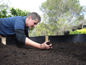 Mulch A Natural Soil Improver, Improving Clay Soil Gardening Australia