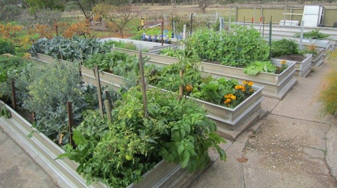 Low Impact Garden Edges Sustainable, Corrugated Iron Garden Edging