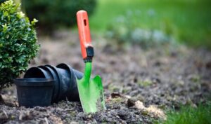 Soil Series - No Dig Gardening