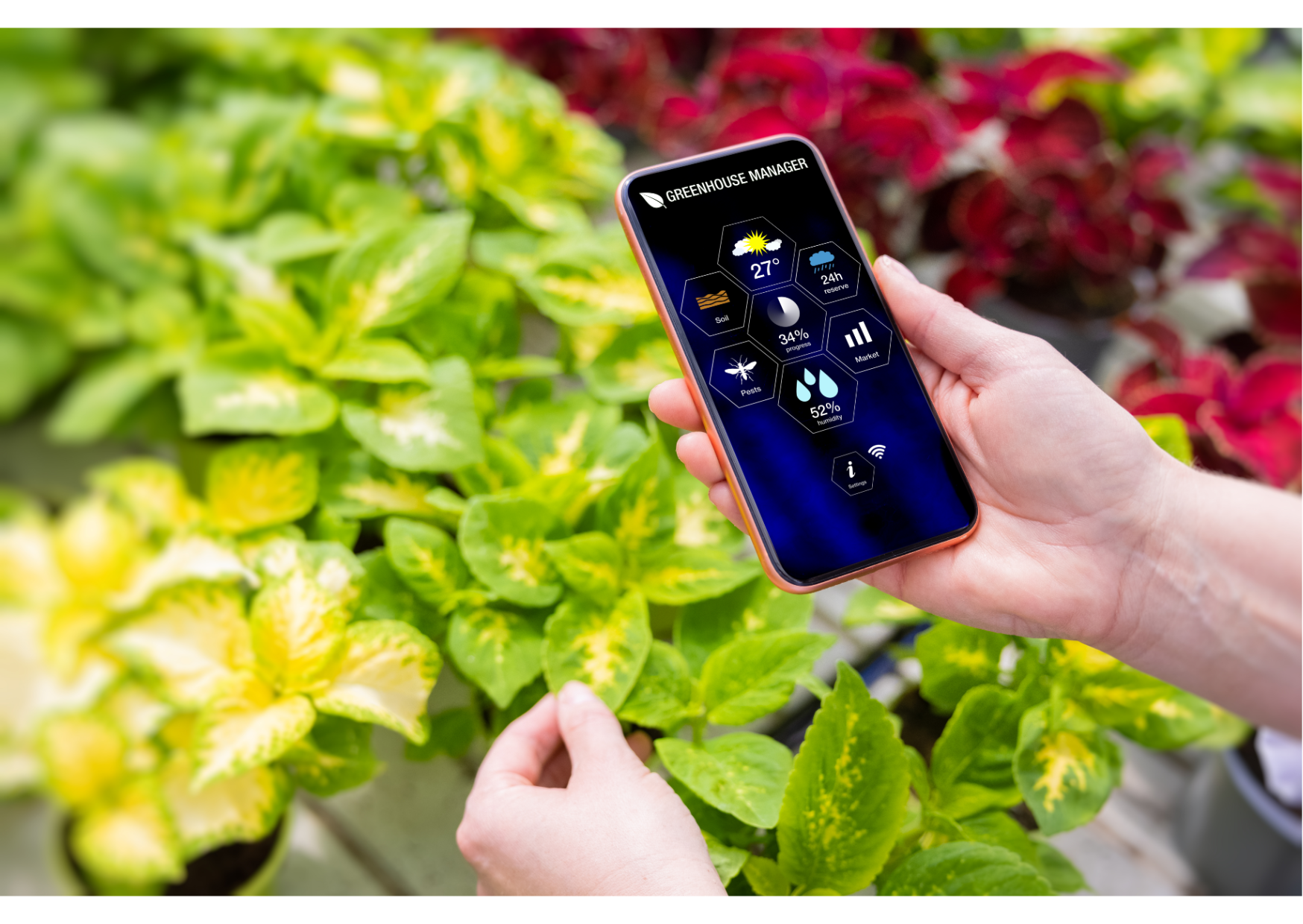 Person using a phone app to record and view plant data